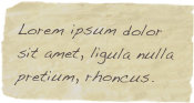 Lorem ipsum dolor sit amet, ligula nulla pretium, rhoncus.